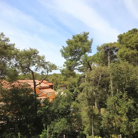 Artatore 8022d Apartament